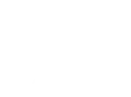 AI Copilot Integration Services