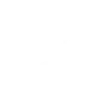 Native Integration Expertise
