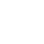 Domain-Specific LLM Development 