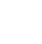 Large Language Model Development Services