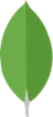 MongoDB