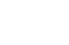 Custom Model Development and Fine-Tuning