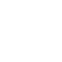 Secure AI Development Governance