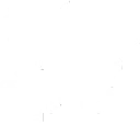 Shopify Custom Development