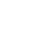AI Model Fine-Tuning and Training