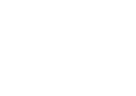 UI Refinement & Optimization