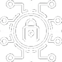 Security and Vulnerability Testing