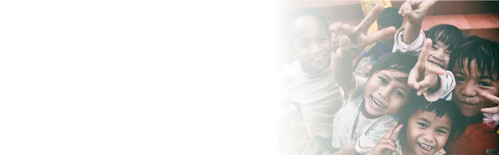 Custom Software Banner